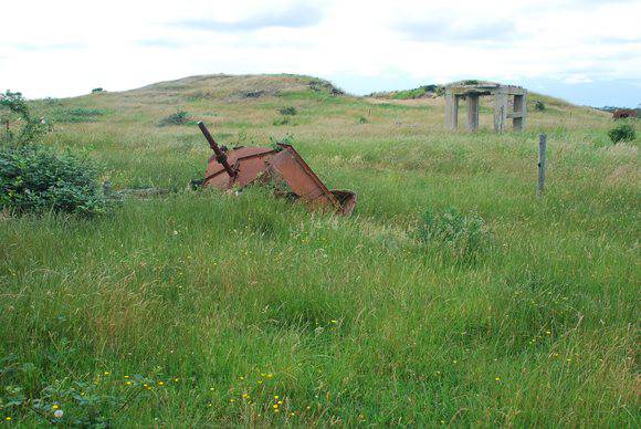 GELLIONDALE BRIQUETTE PLANT SOHE 2008