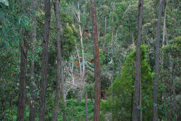 YACKANDANDAH CREEK HYDRAULIC GOLD SLUICING PIT SOHE 2008