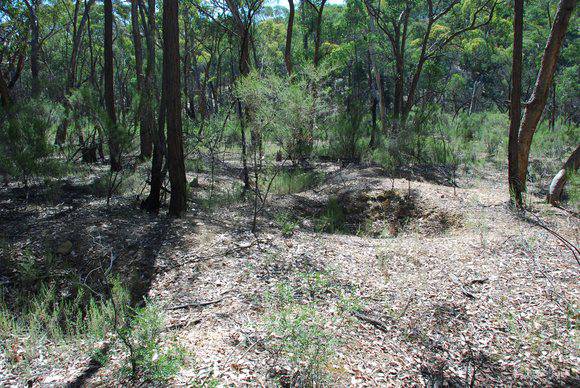SAILORS GULLY GOLD MINING PRECINCT SOHE 2008