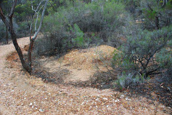 OLD TOM REEF GOLD PUDDLING SITE SOHE 2008