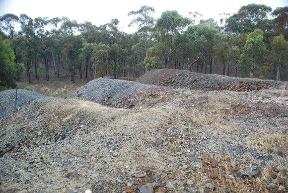 NEW MOON QUARTZ GOLD MINE SITES SOHE 2008