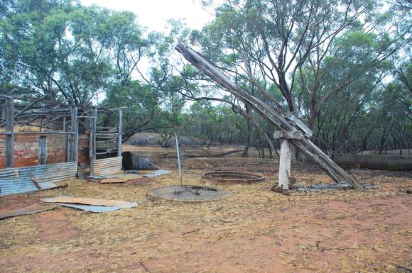 REUDINS EUCALYPTUS DISTILLERY SOHE 2008