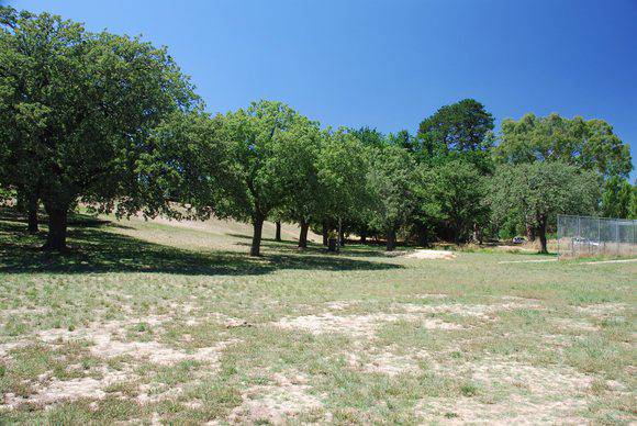 CUNNACKS VALONIA OAK PLANTATION SOHE 2008