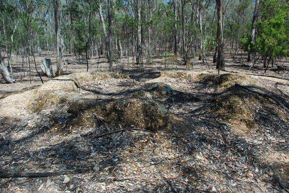 WALLACES LEAD GOLD PUDDLING PRECINCT SOHE 2008