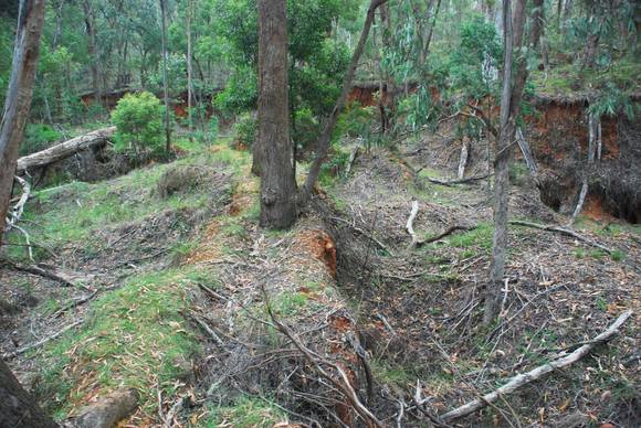 YACKANDANDAH CREEK GOLD HYDRAULIC SLUICING WORKS SOHE 2008