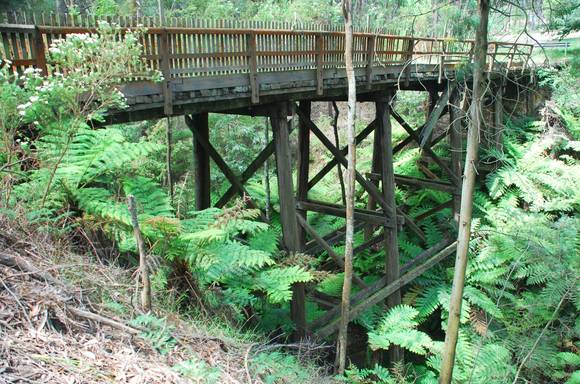 TIMBER BRIDGE SOHE 2008