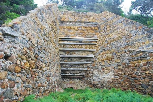 BELL POINT LIME KILN SOHE 2008