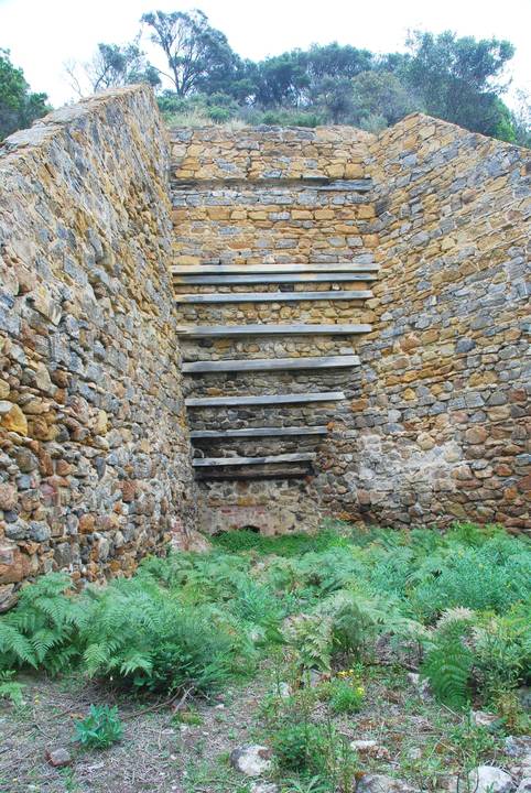 BELL POINT LIME KILN SOHE 2008