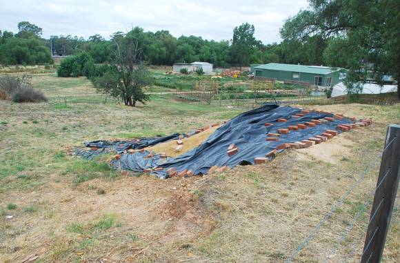 CHINESE KILN & MARKET GARDEN SOHE 2008