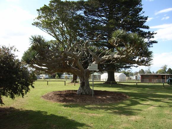 KOROIT BOTANIC GARDENS SOHE 2008