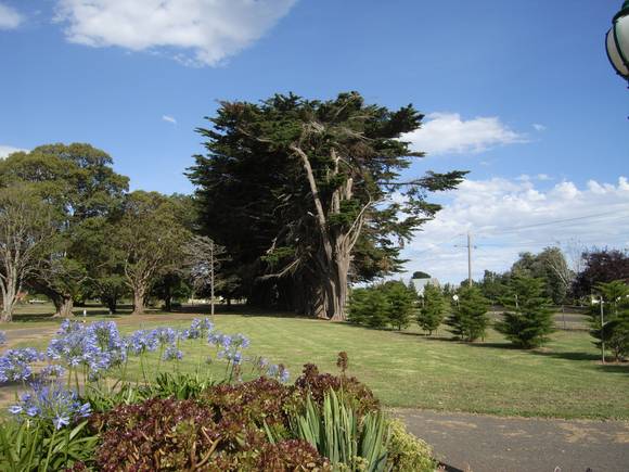 KOROIT BOTANIC GARDENS SOHE 2008
