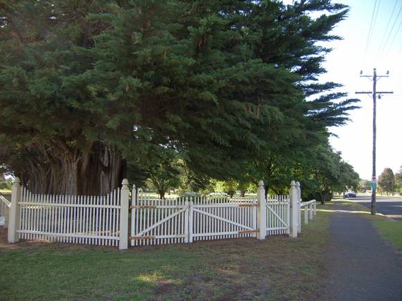 KOROIT BOTANIC GARDENS SOHE 2008