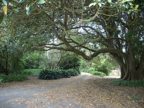 BURSWOOD SOHE 2008