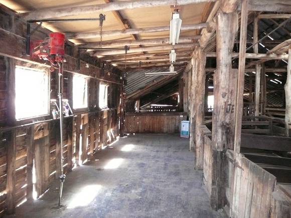 TOTTINGTON HOMESTEAD, STONE COTTAGE AND WOOLSHED SOHE 2008