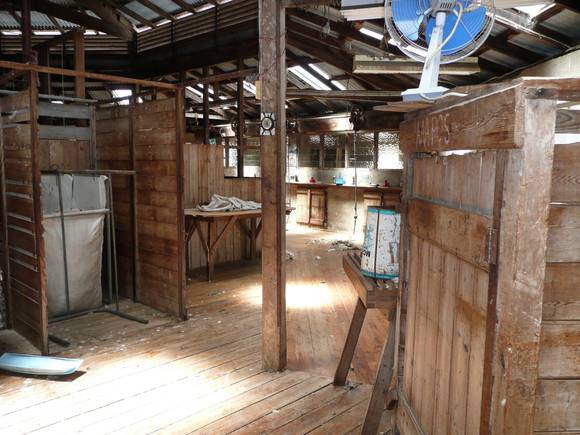 KOLOR WOOLSHED SOHE 2008