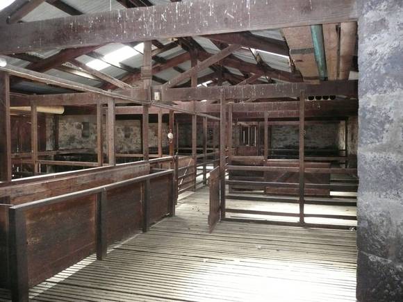 KOLOR WOOLSHED SOHE 2008