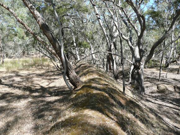 HARD HILL MINING SITE SOHE 2008