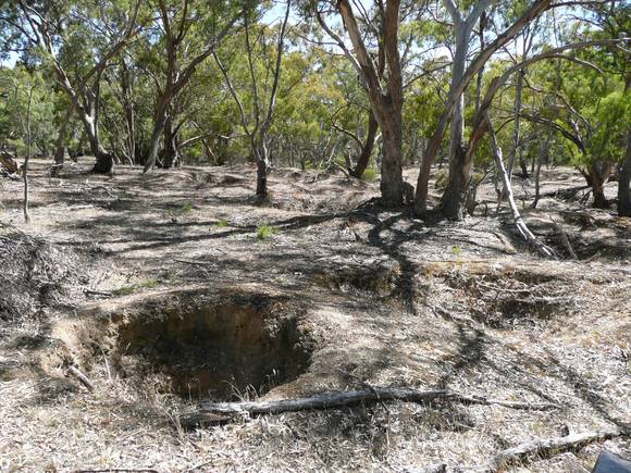 HARD HILL MINING SITE SOHE 2008