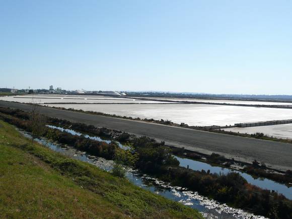 CHEETHAM SALTWORKS SOHE 2008
