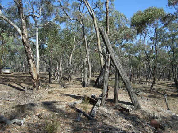 LLOYDS WHIP GOLD MINING SITE SOHE 2008