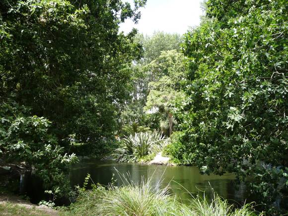 BUNINYONG BOTANIC GARDENS SOHE 2008