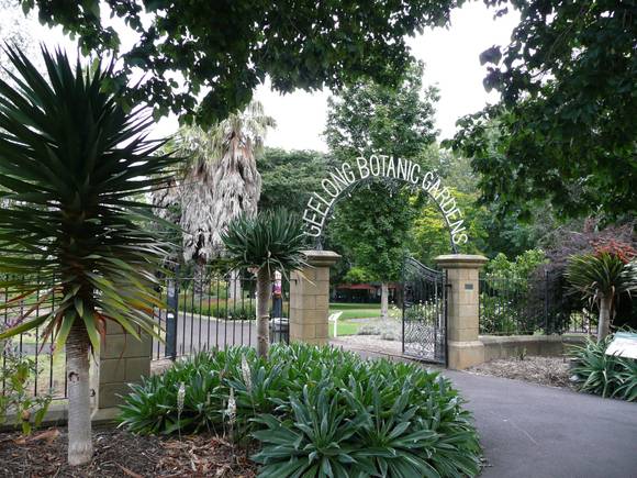 EASTERN PARK & GEELONG BOTANIC GARDENS SOHE 2008