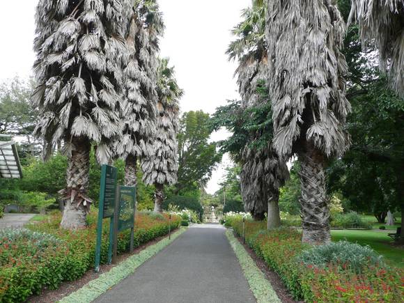 EASTERN PARK & GEELONG BOTANIC GARDENS SOHE 2008