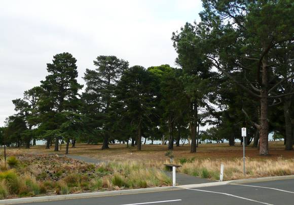 EASTERN PARK & GEELONG BOTANIC GARDENS SOHE 2008