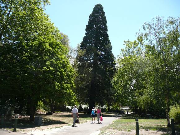 HEPBURN MINERAL SPRINGS RESERVE SOHE 2008