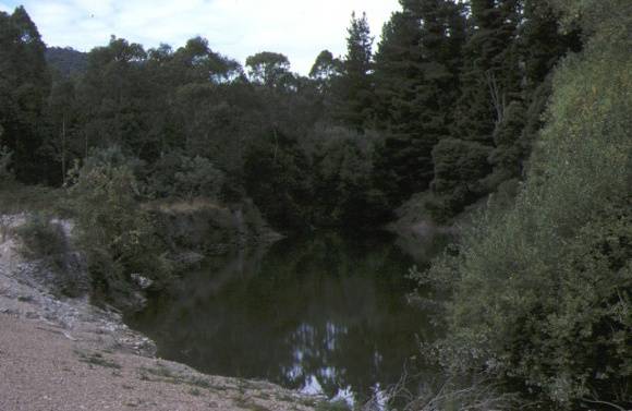 1 tronoh gold dredgiong ponds harrietville landscape