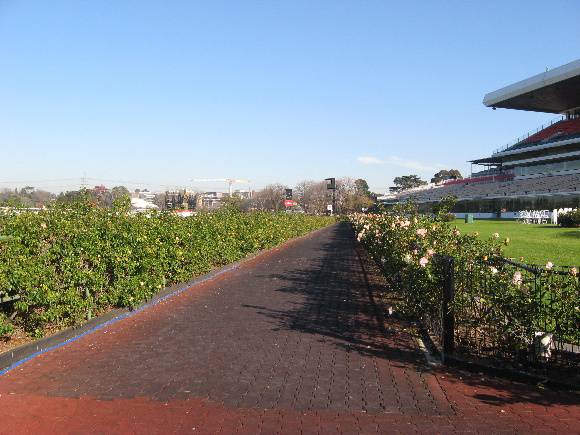 Flemington Racecourse_horse walk to mounting yard_KJ 15 Jun 09  