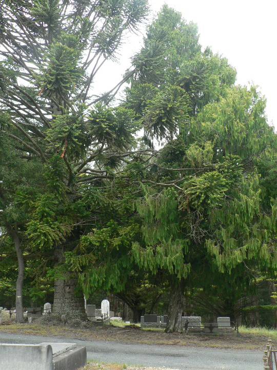 Linton Cemetery