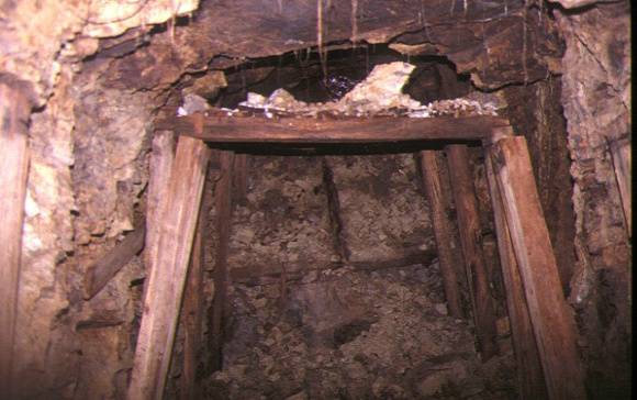 1 henry's tramway tunnel west barwon valley barramunga end view aug1998