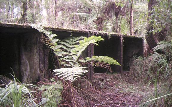 1 lower goodwood kilns upper l;a trobe valley piedmont front view aug1998