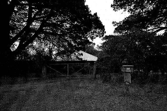 HO212 -Shaw's Cool Store & residence- House, mature Monterey pines, from Hilderbrand Road