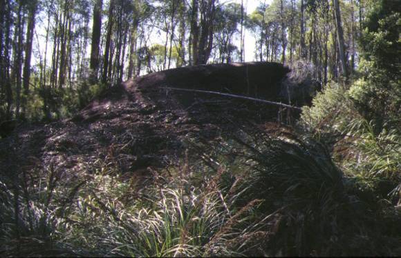 1 old federal mill starvation creek warburton site view