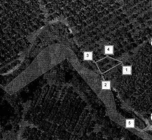 Aerial view of early plantings - GROUP 1 -  French seedling pear base, 5 examples. AMGs: 1..344575,5840949; 2-344575,5840946;3-344581,5840952;4-344575,5840950;5-(Arthurs Creek crossing) 344595, 5840896 (Datum: WGS84)