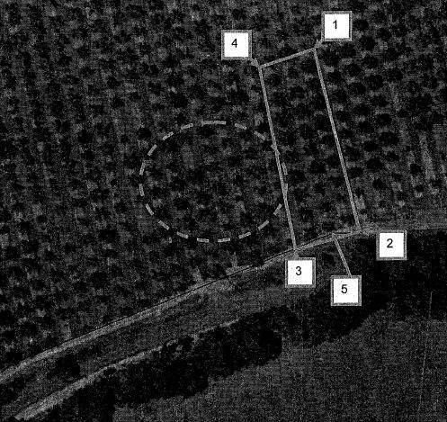 Aerial view of early plantings - GROUP 2 -  Group 2 Wlliams pears showing main group of 27, with other scattered early examples interplanted with more recent trees within the dotted area. AMGs: 1- 343932, 5841059; 2- 343952,5841012; 3- 343945, 5841006; 4~343926, 5841042;5- (corner post)
343960,5841012 (Datum: WGS84)-
