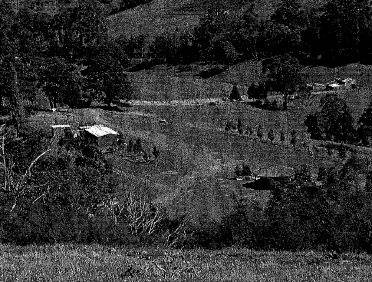 Clinton's Pleasure Grounds - View from north to start of track, with old Dance Hall chimney remnants (?) and recent club buildings