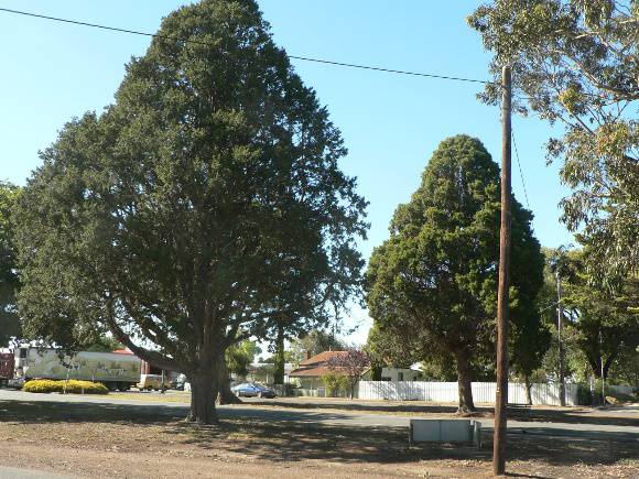 High Street Inverleigh