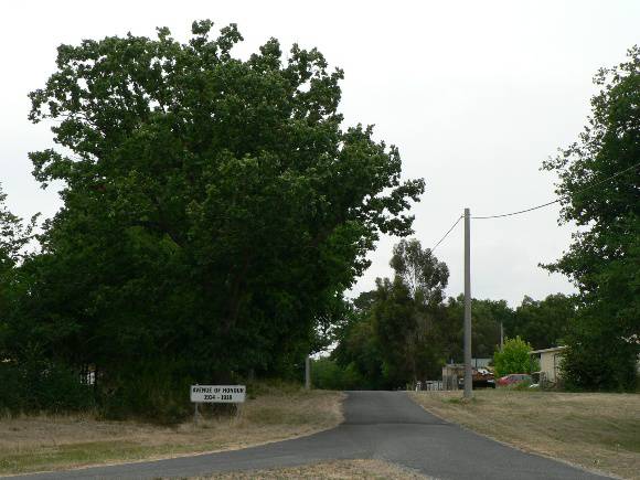 Avenue of Honour, Denison Street Linton