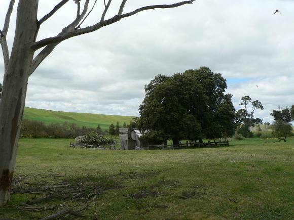 Naringal Slab Hut