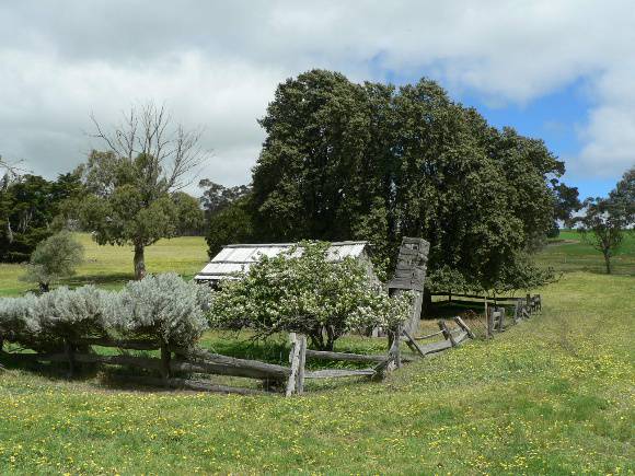 Naringal Slab Hut