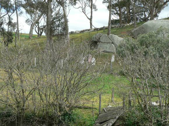 Naringal Slab Hut