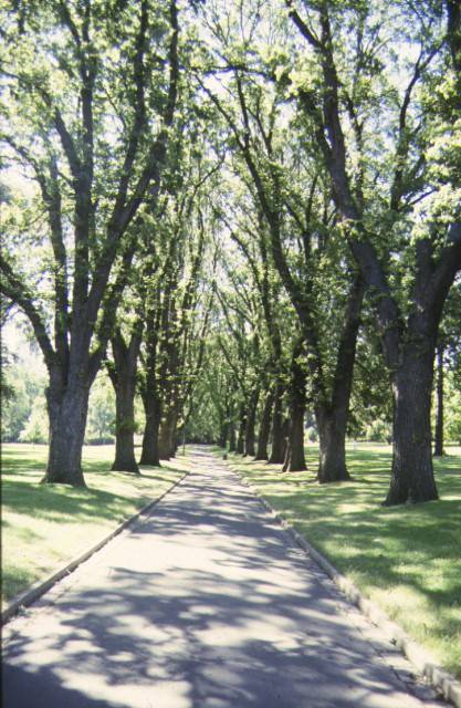 1 fitzroy gardens elm avenue