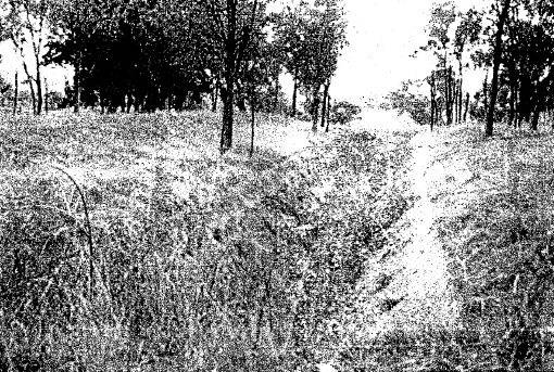 Maroondah Aqueduct 