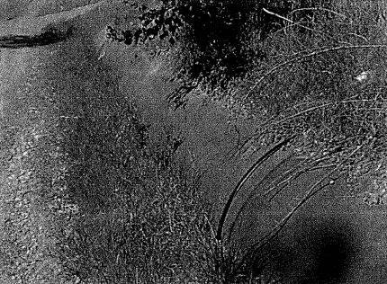 MAROONDAH AQUEDUCT - Nillumbik Shire Heritage Study 1997 