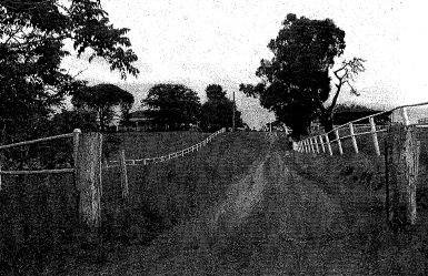 Thornholme, house and trees on left and stables on right of drive