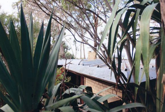 B5647 Kennedy House 13 Fairview Ave Glen Waverley