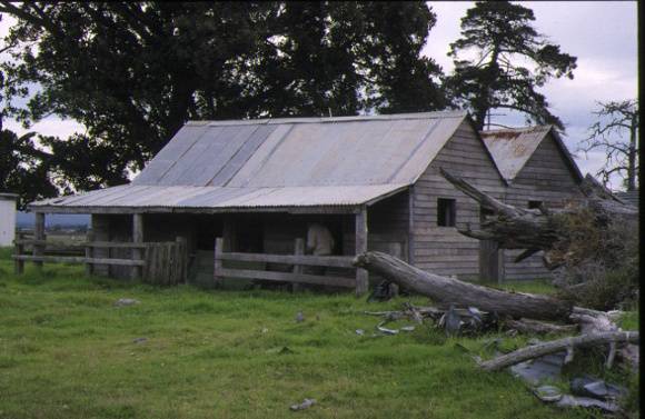 1 hawthorn bank pound round yarram front view